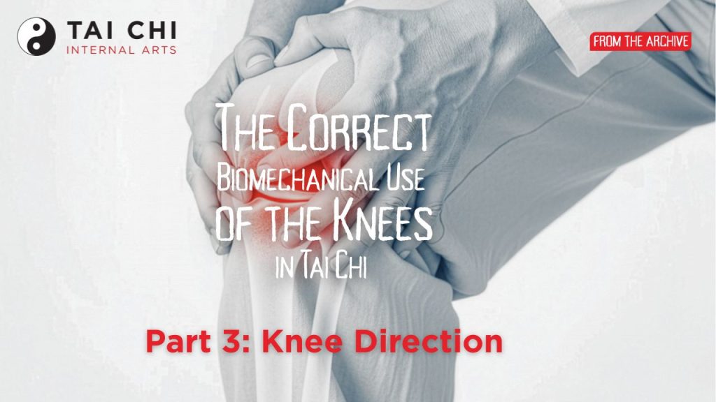 The Correct Biomechanical Use of the Feet & Knees | Part 3: Knee ...